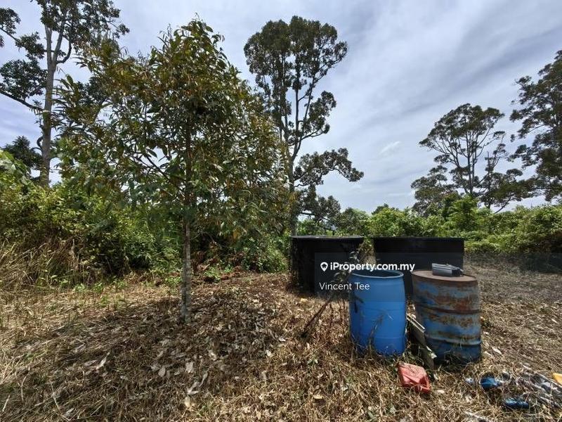 Agricultural Land for Sale in Bandar Lipis, Kuala Lipis by Vincent Tee - iProperty.com.my