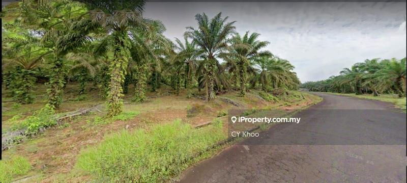 Agricultural Land for Sale in Johor Kulai 81000, Kulai by CY Khoo - iProperty.com.my