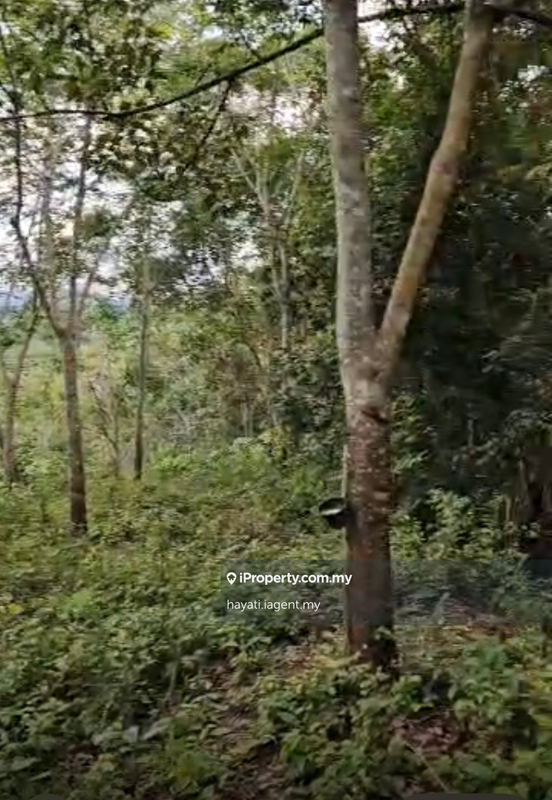 For Sale - 5 acres land with Rubber trees Juasseh Kapitan Kuala Pilah, Negeri Sembilan
