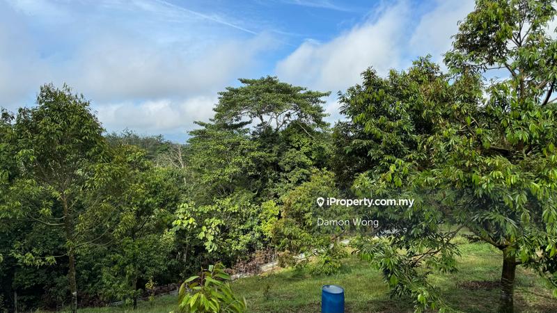 Agricultural Land for Sale in Sega, Dong, Raub by Damon Wong - iProperty.com.my
