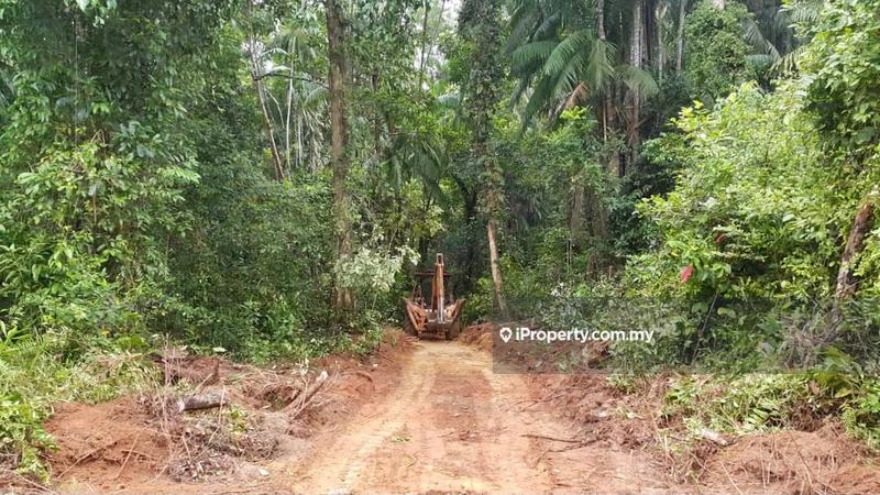 Agricultural Land for Sale in Kuala Rompin, Rompin by Intan Faridah - iProperty.com.my