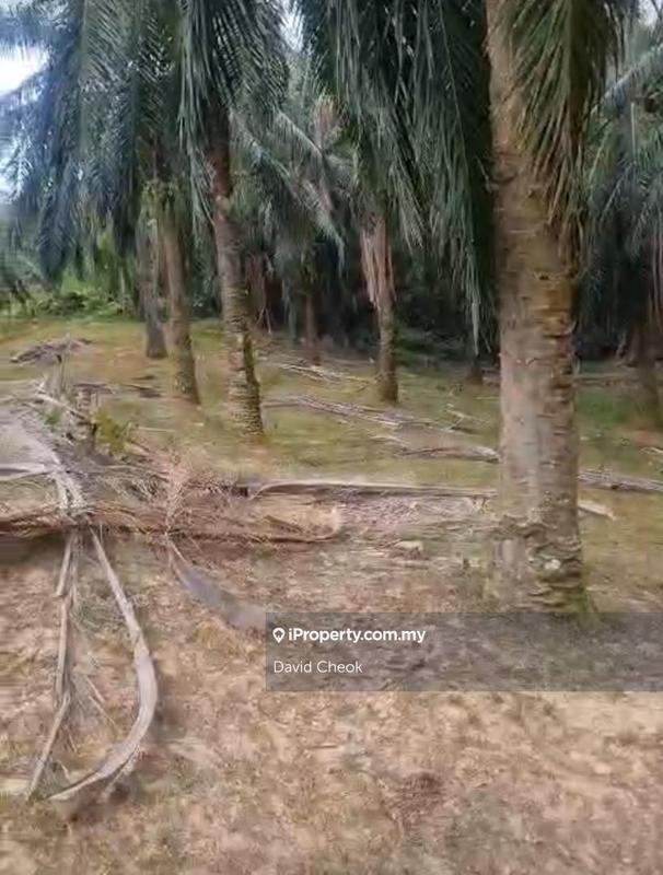 For Sale - Near osk property/springhill/port dickson/roadside/seremban/5acres