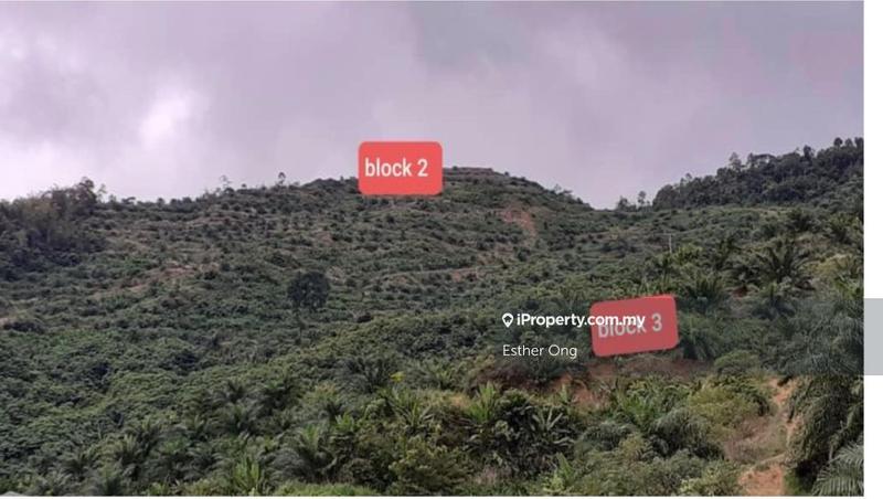 For Sale - Kampung Togop Darat