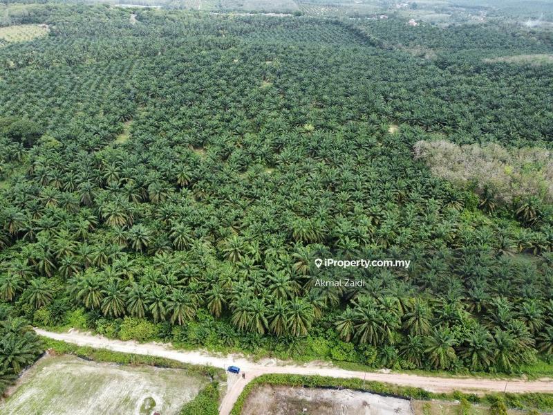 Agricultural Land for Sale in 50 to 100 Acres Near PMU TNB Melaka, Ayer Keroh by Akmal Zaidi - iProperty.com.my