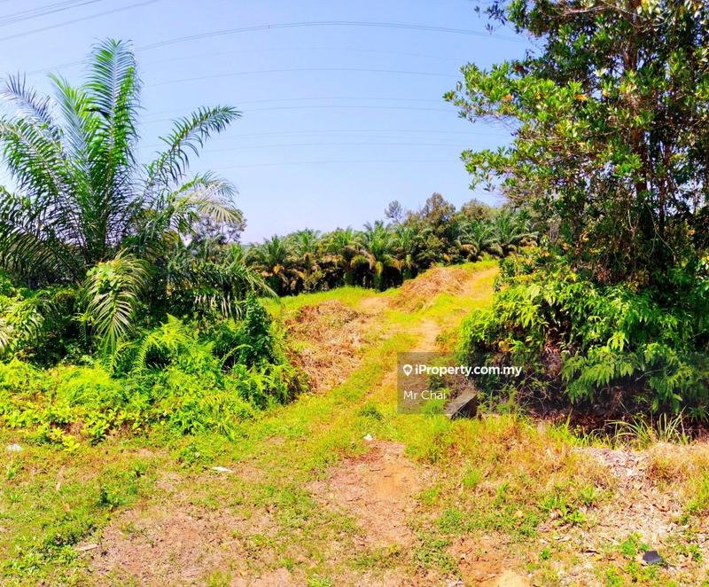 Tanah Pertanian untuk Dijual di Kuala Kubu Bharu, Kerling, (6 Acres), Kerling oleh Mr Chai - iProperty.com.my