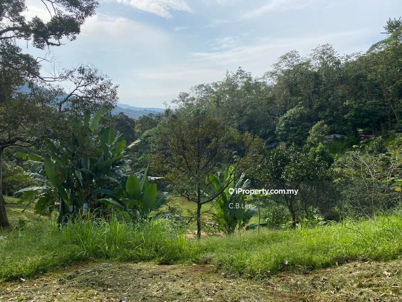 Residential Land for Sale in Broga, Lenggeng by C.B.Lee - iProperty.com.my