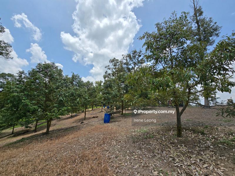 Agricultural Land for Sale in Karak, Pahang by Irene Leong - iProperty.com.my