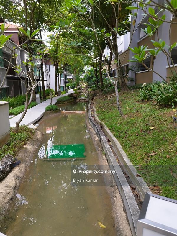 For Rent - Ara Hill Condominium