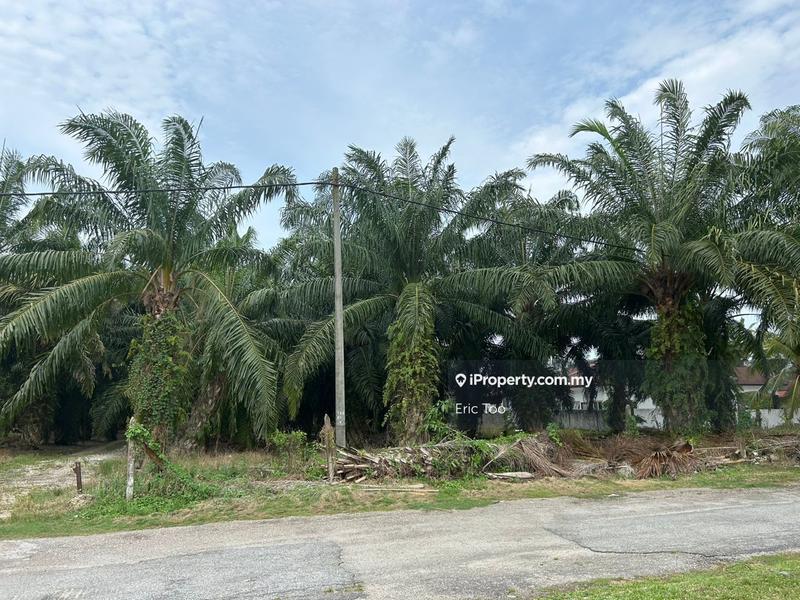 For Sale - Kg Koh  9 Ekar Oil Palm Land For Sale-Kg koh (Sitiawan)