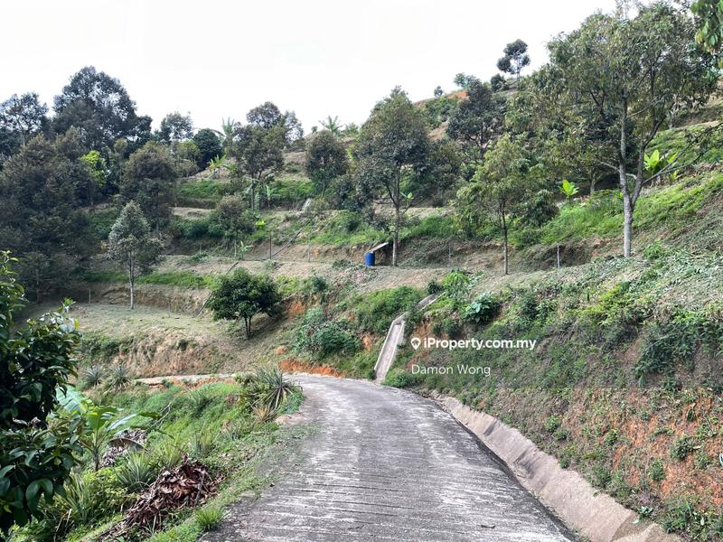 Agricultural Land for Sale in Karak, Bentong by Damon Wong - iProperty.com.my