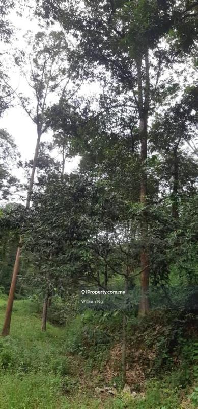 Tanah Pertanian untuk Dijual di Taman Jelebu, Kuala Klawang oleh William Ng - iProperty.com.my