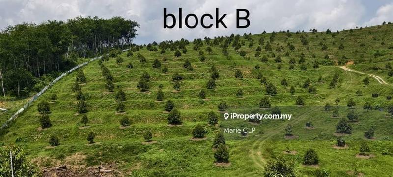 Tanah Pertanian untuk Dijual di Cameron Highlands, Pahang oleh Marie CLP - iProperty.com.my
