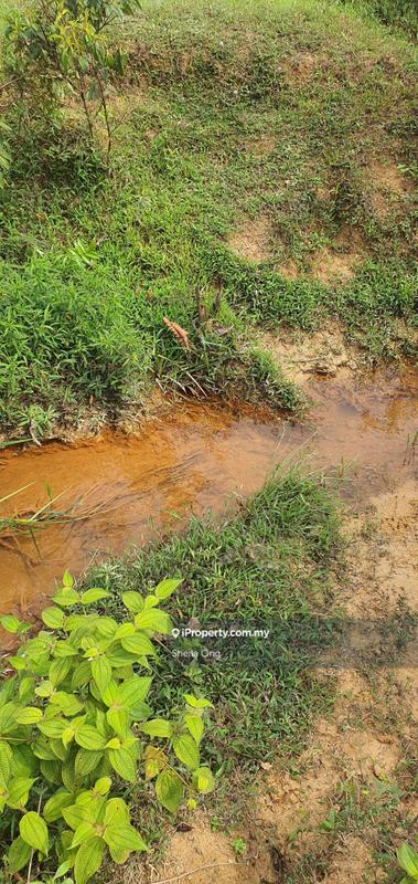 Tanah Pertanian untuk Dijual di Nilai, Negeri Sembilan oleh Sheila Ong - iProperty.com.my