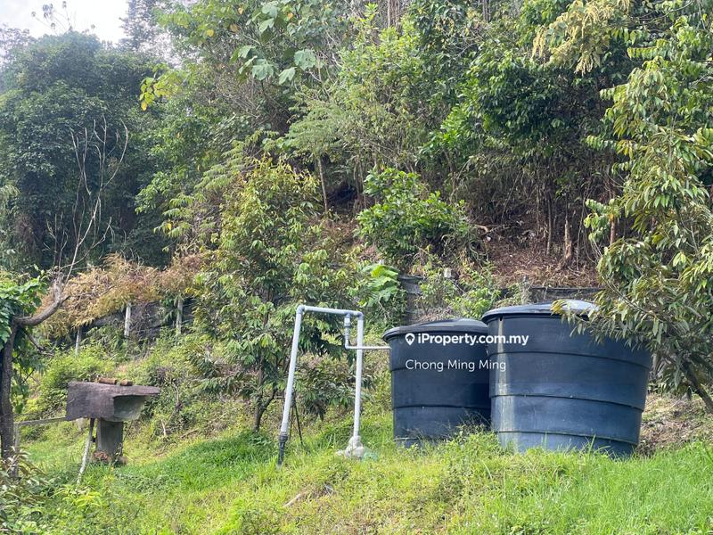 Agricultural Land for Sale in Kampung Pantai, Pantai by Chong Ming Ming - iProperty.com.my