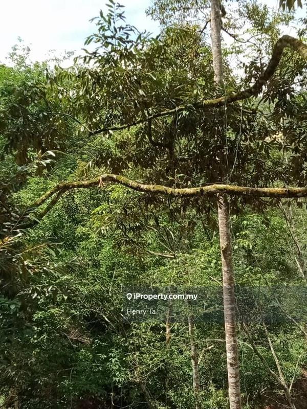 Tanah Pertanian untuk Dijual di Kawasan Perindustrian Bentong, Bentong oleh Henry Ta - iProperty.com.my