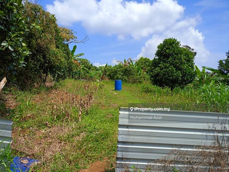 Agricultural Land for Sale in Balok, Sungai Karang by Mohammad Azizi - iProperty.com.my
