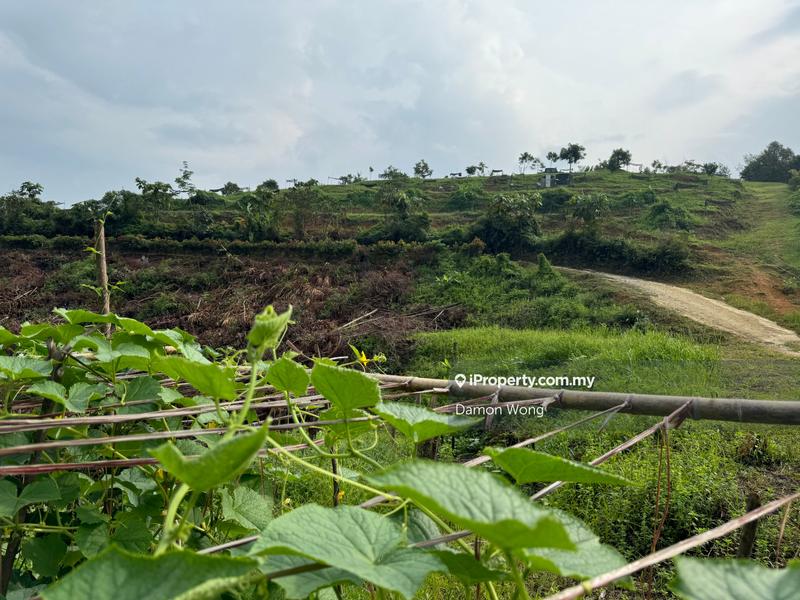 Agricultural Land for Sale in Ulu Yam, Rawang by Damon Wong - iProperty.com.my