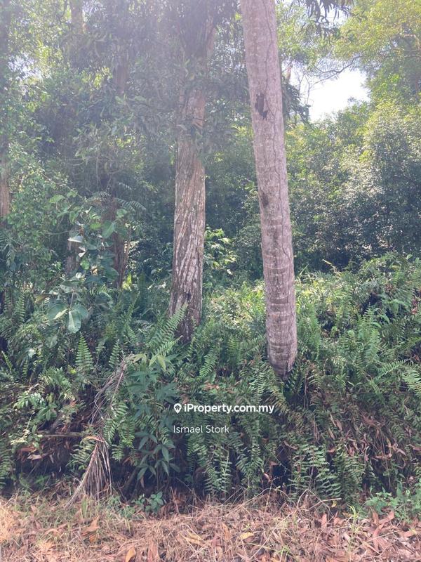Agricultural Land for Sale in Kampung Sungai Ular, Sungai Karang by Ismael Stork - iProperty.com.my