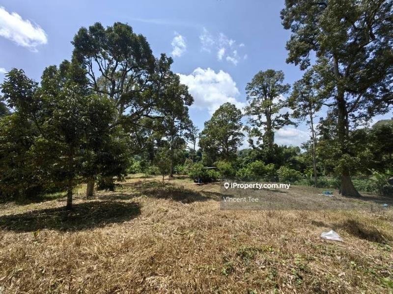 Agricultural Land for Sale in Bandar Baru Kuala Lipis, Kuala Lipis by Vincent Tee - iProperty.com.my
