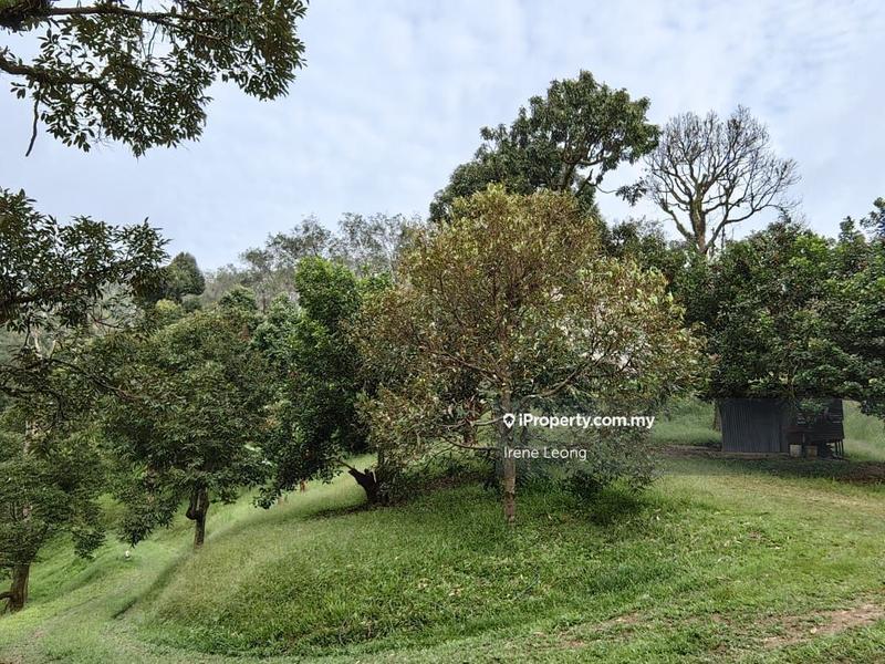 Agricultural Land for Sale in Karak, Pahang by Irene Leong - iProperty.com.my
