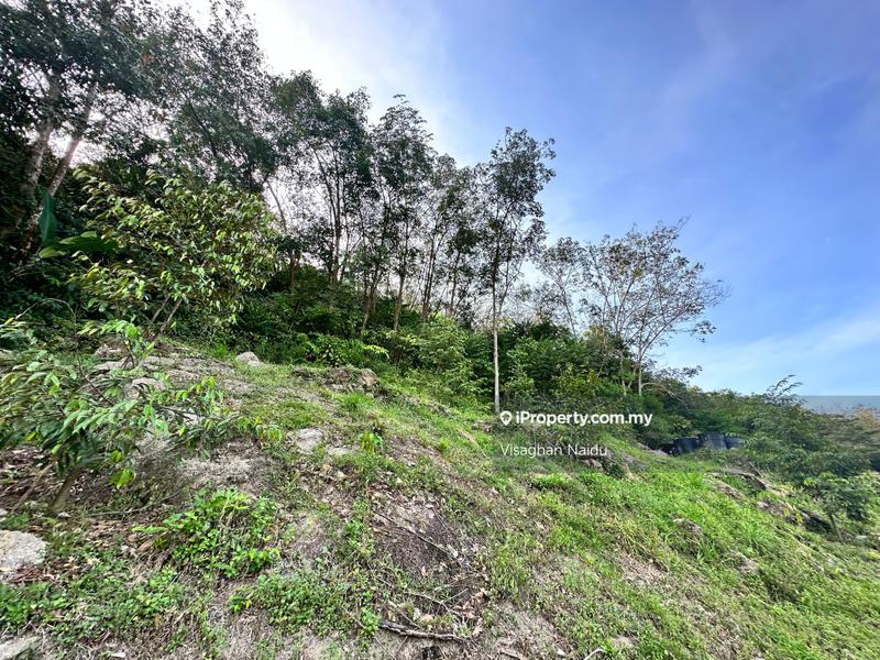 Tanah Pertanian untuk Dijual di Balik Pulau, Penang oleh Visaghan Naidu - iProperty.com.my