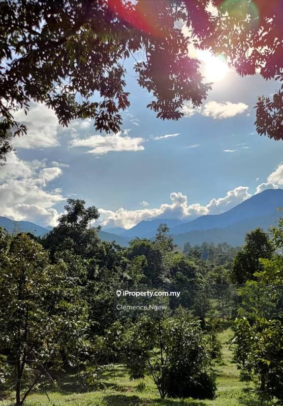 Agricultural Land for Sale in Ulu Slim, Slim River by Clemence Ngew - iProperty.com.my