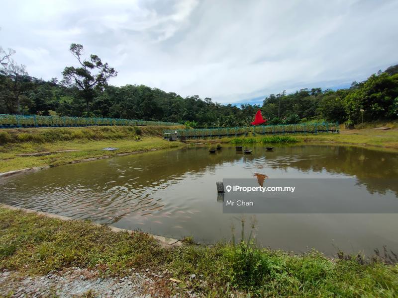 Tanah Pertanian untuk Dijual di Hulu Semenyih, Semenyih oleh Mr Chan - iProperty.com.my