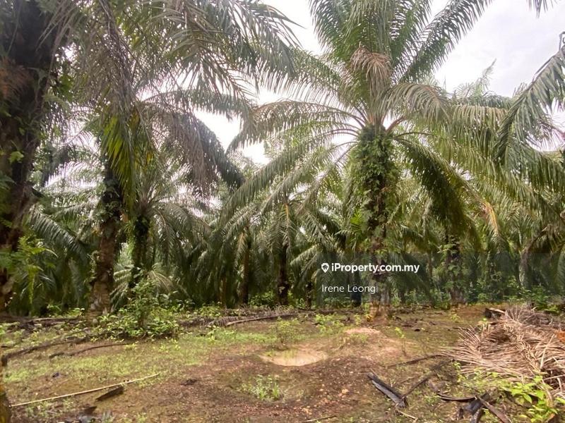 Tanah Perindustrian untuk Dijual di Taman Mentakab, Mentakab oleh Irene Leong - iProperty.com.my