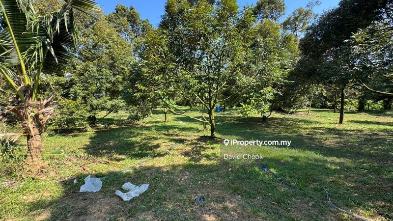 Agricultural Land for Sale in Port Dickson, Negeri Sembilan by David Cheok - iProperty.com.my
