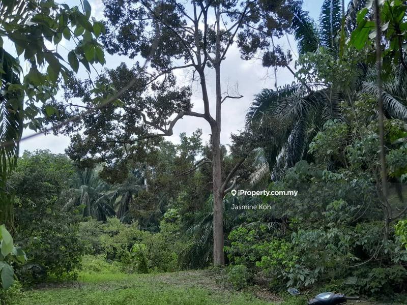 Tanah Pertanian untuk Dijual di Kemaman, Terengganu oleh Jasmine Koh - iProperty.com.my
