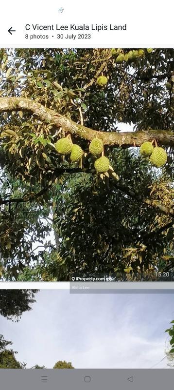 For Sale - Kuala Lipis Pahang