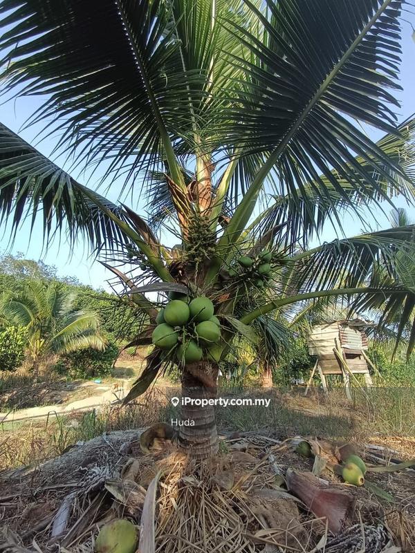 Agricultural Land for Sale in Dangi, Johol by Huda - iProperty.com.my