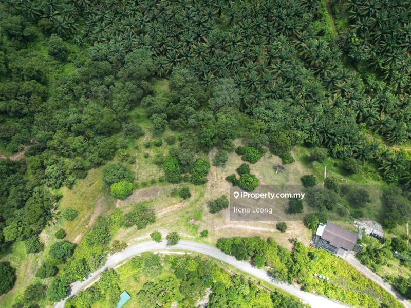 Agricultural Land for Sale in Karak, Pahang by Irene Leong - iProperty.com.my