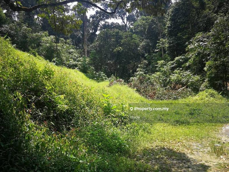 For Sale - 5 ac flat land in Sg Penchala KL suitable for development