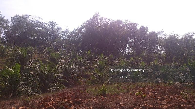 Tanah Pertanian untuk Dijual di Kerling, Kerling oleh Jimmy Goh - iProperty.com.my