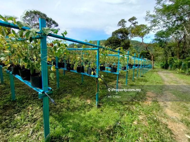 Tanah Pertanian untuk Dijual di Hulu Semenyih, Semenyih oleh Mr Chan - iProperty.com.my