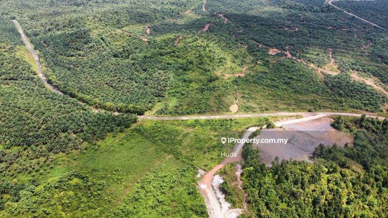 Agricultural Land for Sale in Kuala Rompin, Pahang by Huda - iProperty.com.my