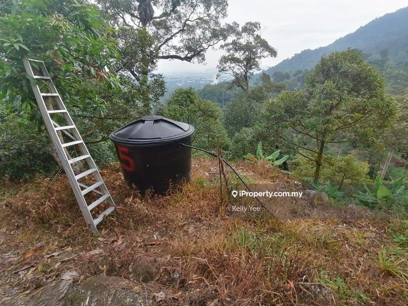 Agricultural Land for Sale in Bukit Mertajam Hill, Bukit Mertajam by Kelly Yee - iProperty.com.my