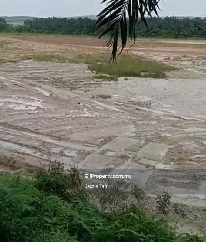 Agricultural Land for Sale in Kota Tinggi, Johor by Jessie Tan - iProperty.com.my