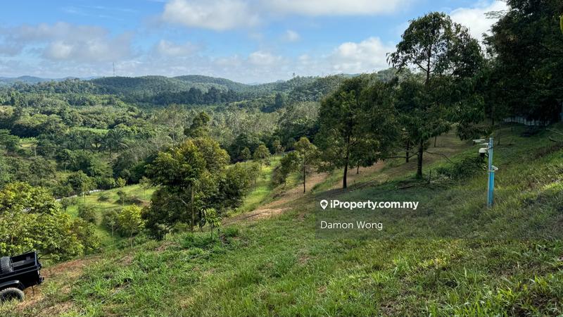 Agricultural Land for Sale in Sega, Dong, Raub by Damon Wong - iProperty.com.my