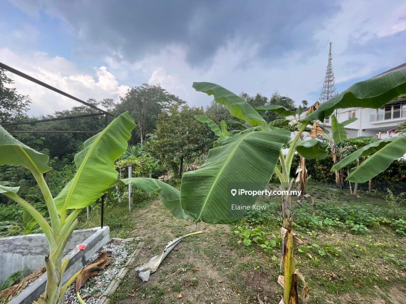 Bungalow Land for Sale in Jalan gasing, bukit gasing, petaling Jaya, Petaling Jaya by Elaine Kow - iProperty.com.my