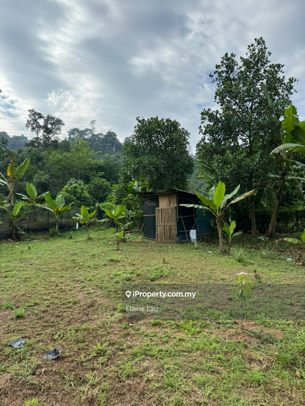 Agricultural Land for Sale in Kampung Sungai Tekali, Hulu Langat by Elaine Lau - iProperty.com.my