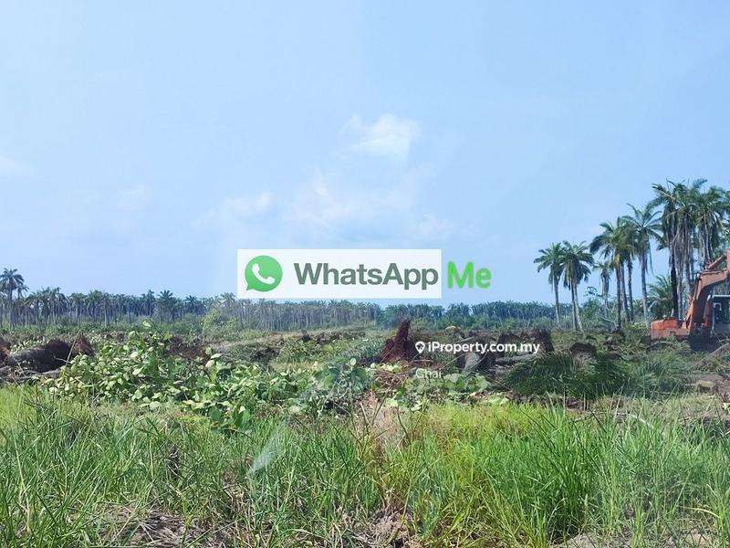 Industrial Land for Sale in x95qz, Ijok by Chai - iProperty.com.my