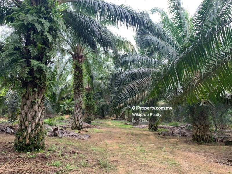 Agricultural Land for Sale in Lukut, Portdickson, Negeri Sembilan, Lukut by Luke Lee - iProperty.com.my