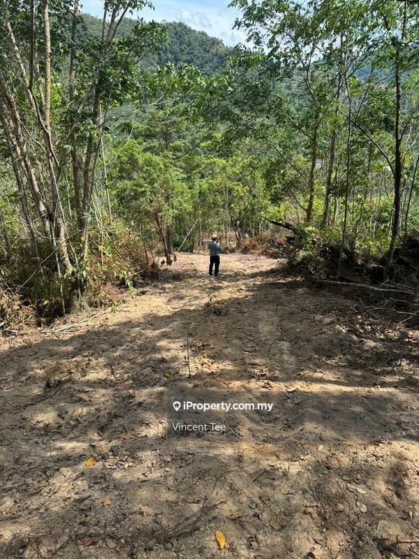 Tanah Pertanian untuk Dijual di Bandar Raub Perdana, Raub oleh Vincent Tee - iProperty.com.my