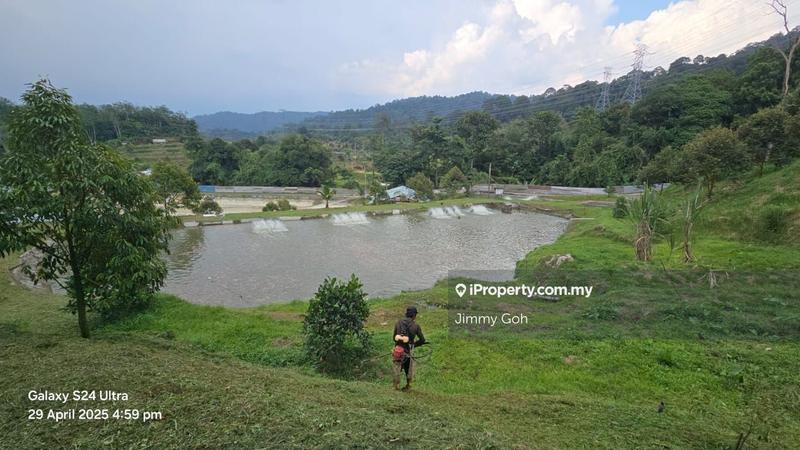 Tanah Pertanian untuk Dijual di Kampung Sungai Tekali, Hulu Langat oleh Jimmy Goh - iProperty.com.my
