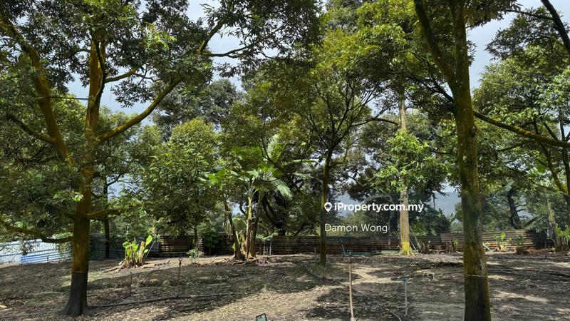 Agricultural Land for Sale in Sungai Klau, Gali by Damon Wong - iProperty.com.my