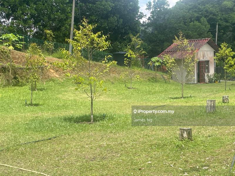 Agricultural Land for Sale in Bukit Tinggi, Bentong by James Ng - iProperty.com.my