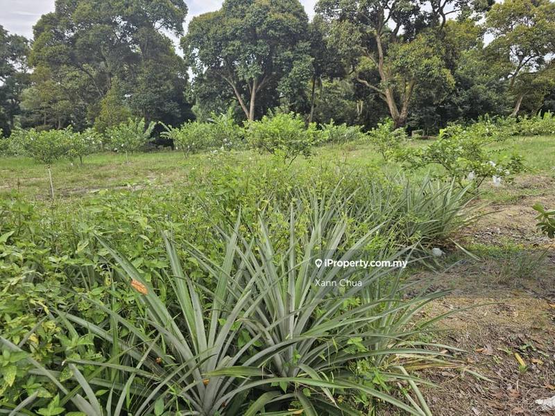 Agricultural Land for Sale in Taman Bemban Baru, Bemban by Xann Chua - iProperty.com.my