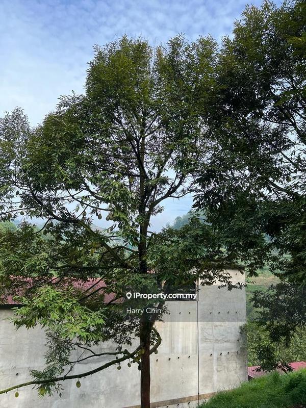 Agricultural Land for Sale in Bandar Tras, Raub by Harry Chin - iProperty.com.my